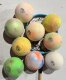 POW Polocrosse Balls